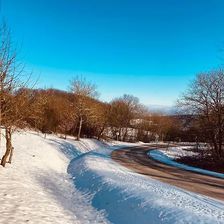 Tradicna Kopaniciarska *