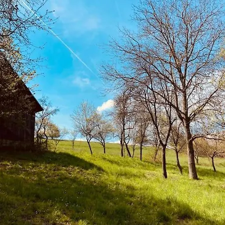 Tradicna Kopaniciarska