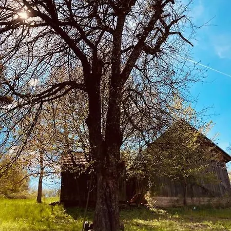 Tradičná Kopaničiarska Сasa de vacaciones Kosariska